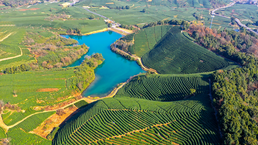 杭州正在超出想象