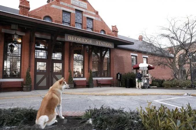 现在的非标商业，已经进化成这样了？