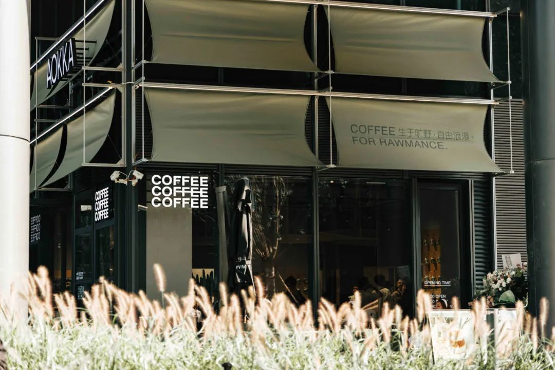 现在的非标商业，已经进化成这样了？