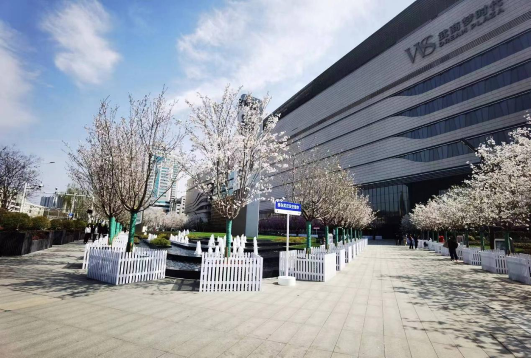 今年樱花经济有哪些看点？