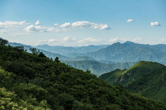 现在的非标商业，已经进化成这样了？