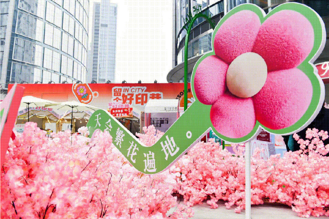 今年樱花经济有哪些看点？