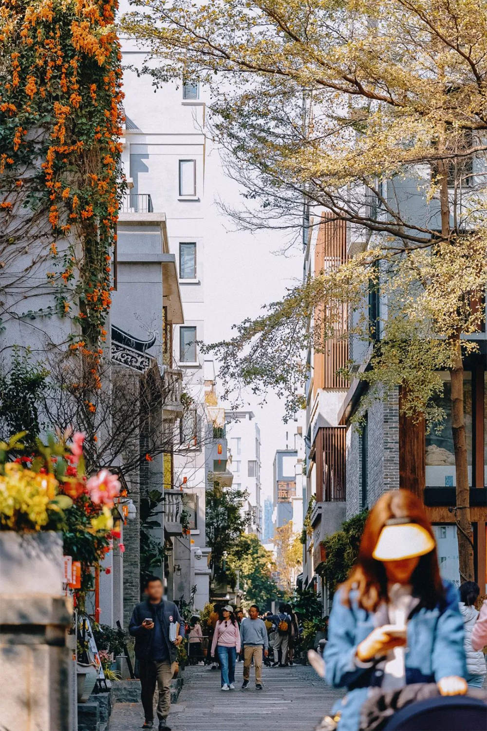现在的非标商业，已经进化成这样了？
