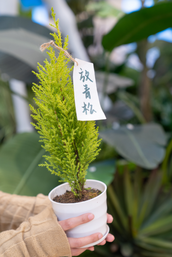 3月, 关上灯, 点亮商业中的可持续希望