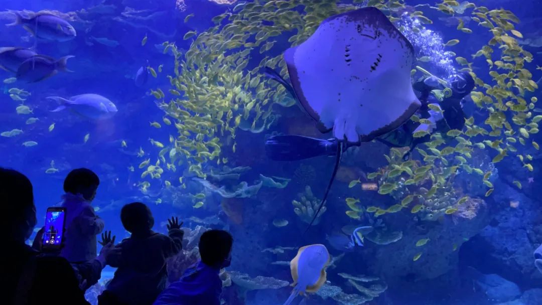 聊聊商业地产圈年轻的“六边形”战士是如何成长起来的