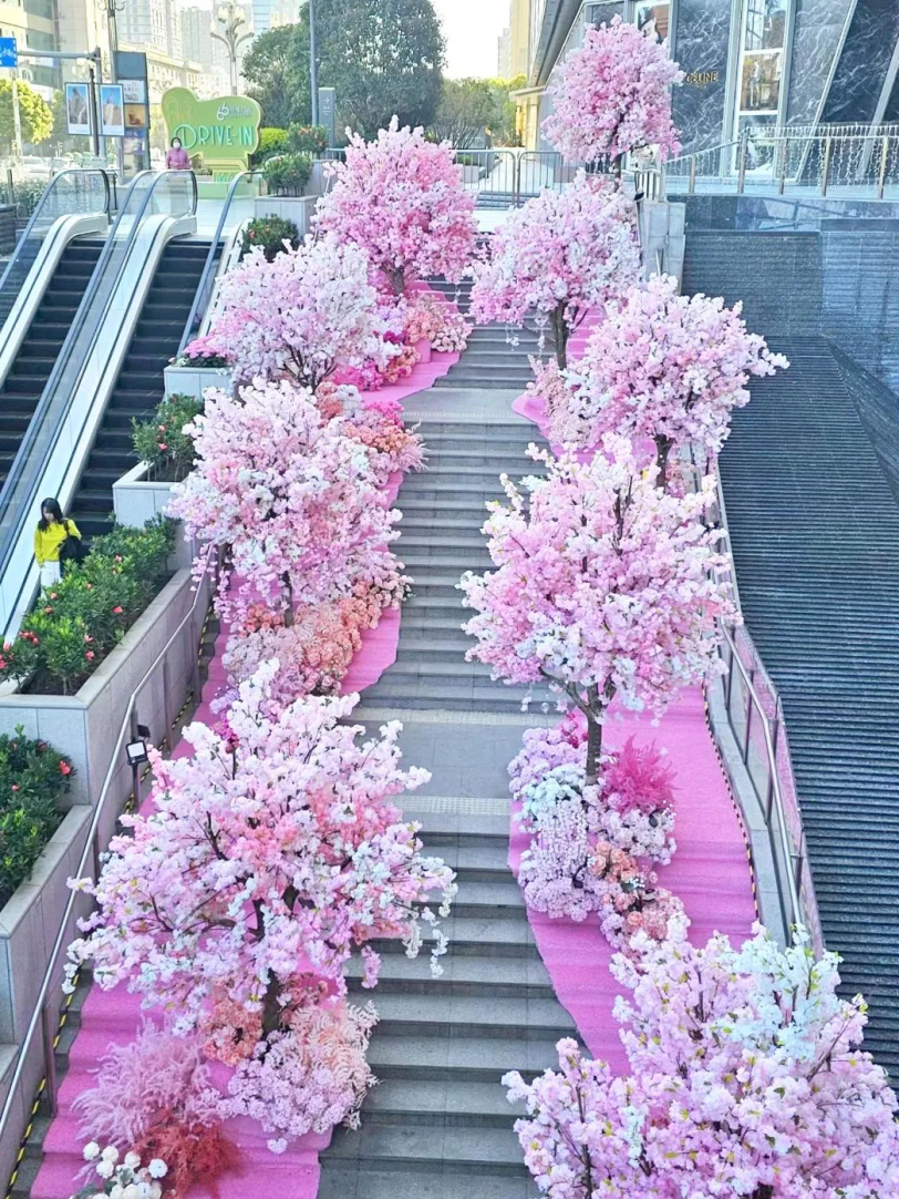 今年樱花经济有哪些看点？