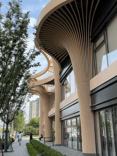 加得 | 美到犯规，魔都雨林菜市场要来了