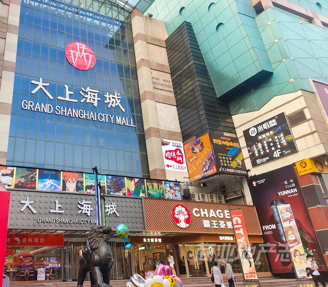 TO商业人：《2024二次元使用手册》