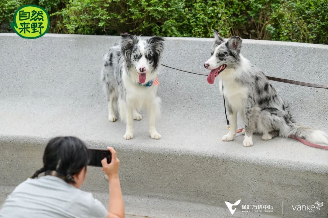 实探徐汇万科广场，看见一座「包围式」公园商业