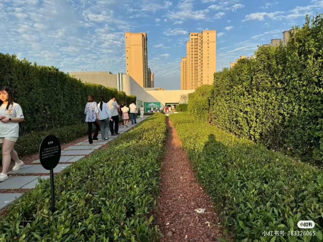 加得 | “卷哭”了！这些挤爆了的新开Mall更新了这些人气场景