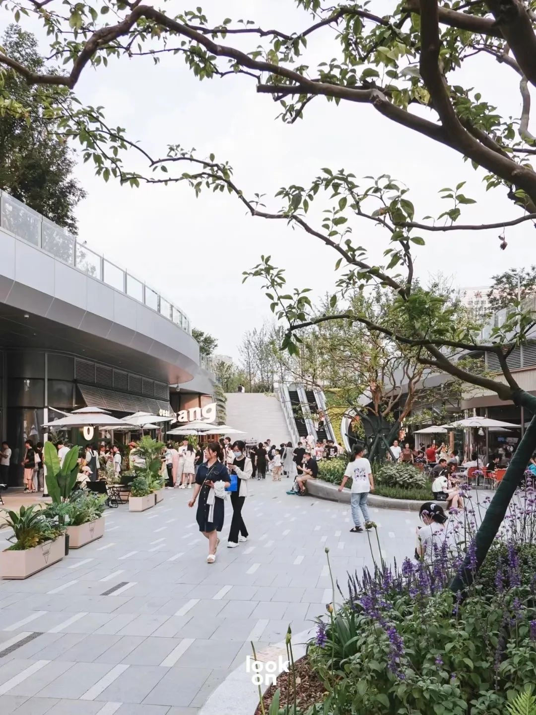 加得 | “卷哭”了！这些挤爆了的新开Mall更新了这些人气场景