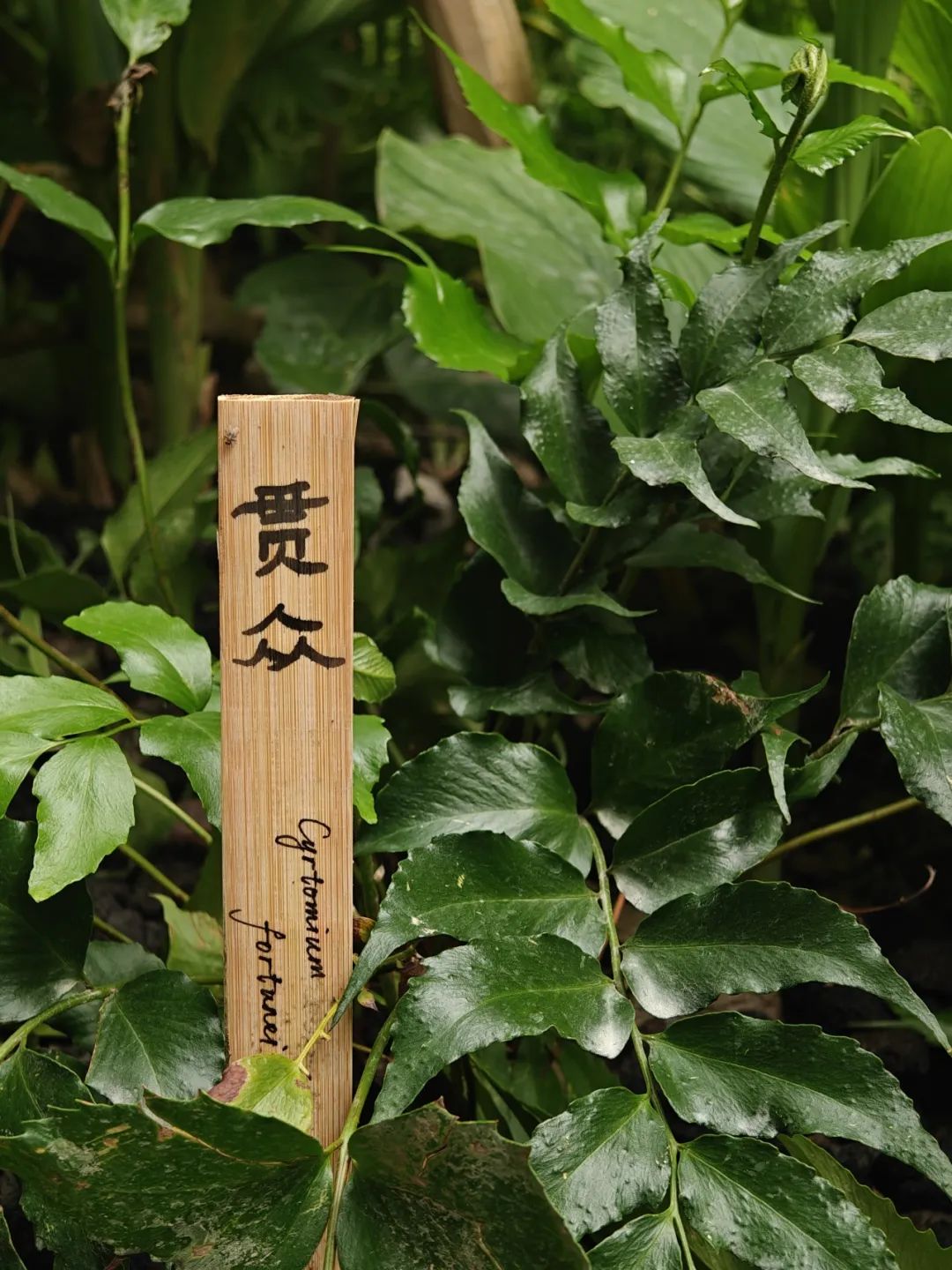 加得 | 上生·新所二期变身“长宁代官山”，来看如何美到刷屏？