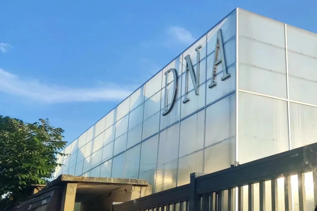 DNA数字游民公社：是自由彼岸，还是昙花一现？