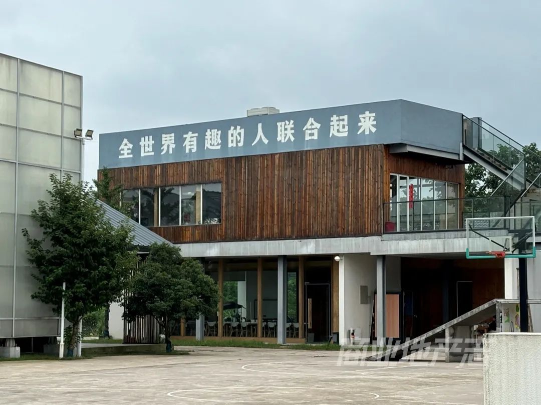 DNA数字游民公社：是自由彼岸，还是昙花一现？