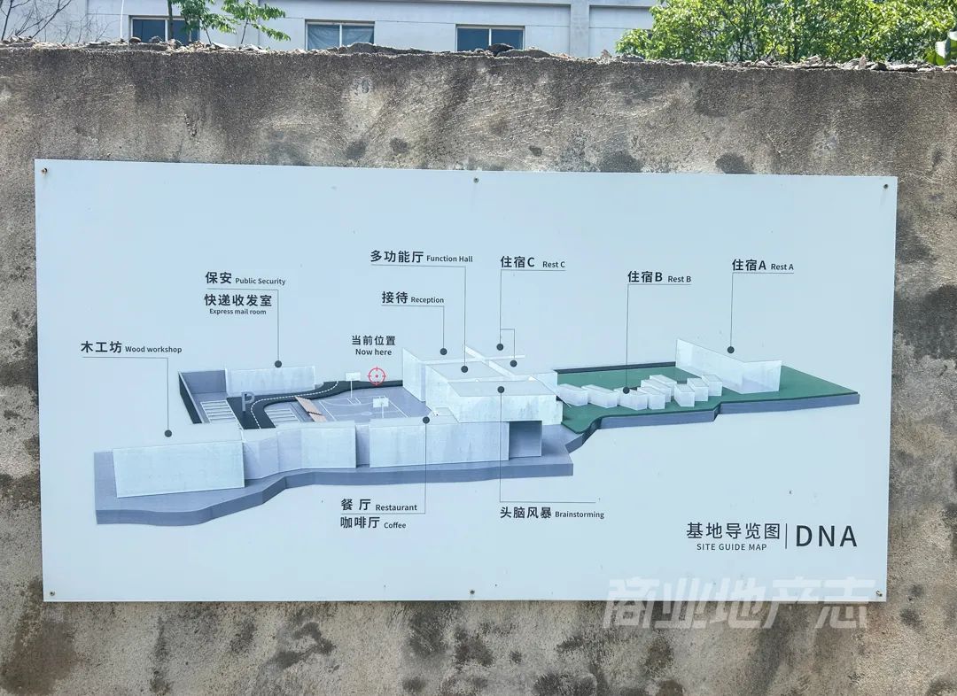 DNA数字游民公社：是自由彼岸，还是昙花一现？